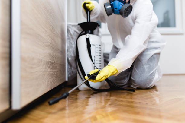 Best Flea Control Services  in , ME