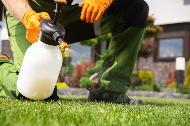 Best Pest Removal Services  in , ME
