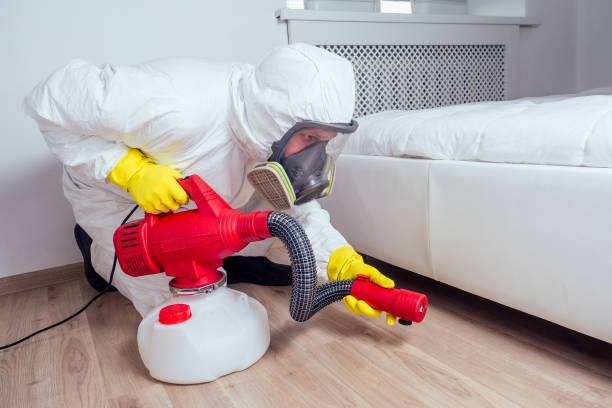 Best Pest Prevention Services  in , ME