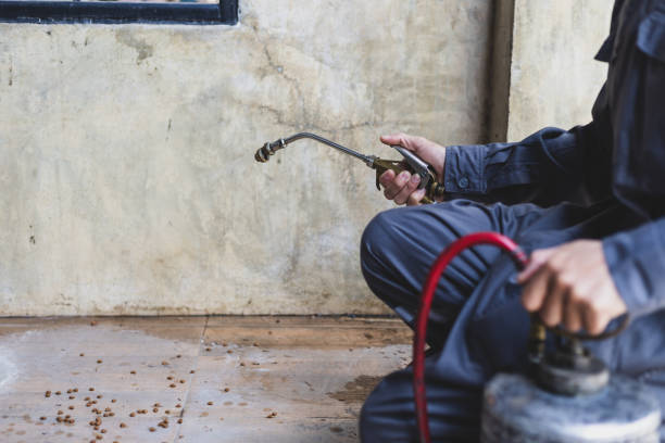 Best Affordable Pest Control Services  in , ME